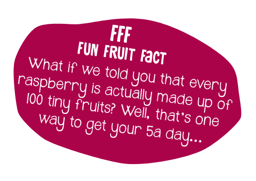 Raspberry - Onken Onken