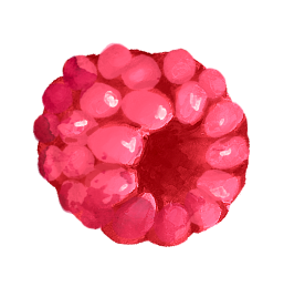 Blueberry & Raspberry Muffins - Onken Onken