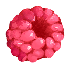 Raspberry - Onken Onken