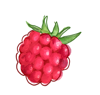 Raspberry - Onken Onken
