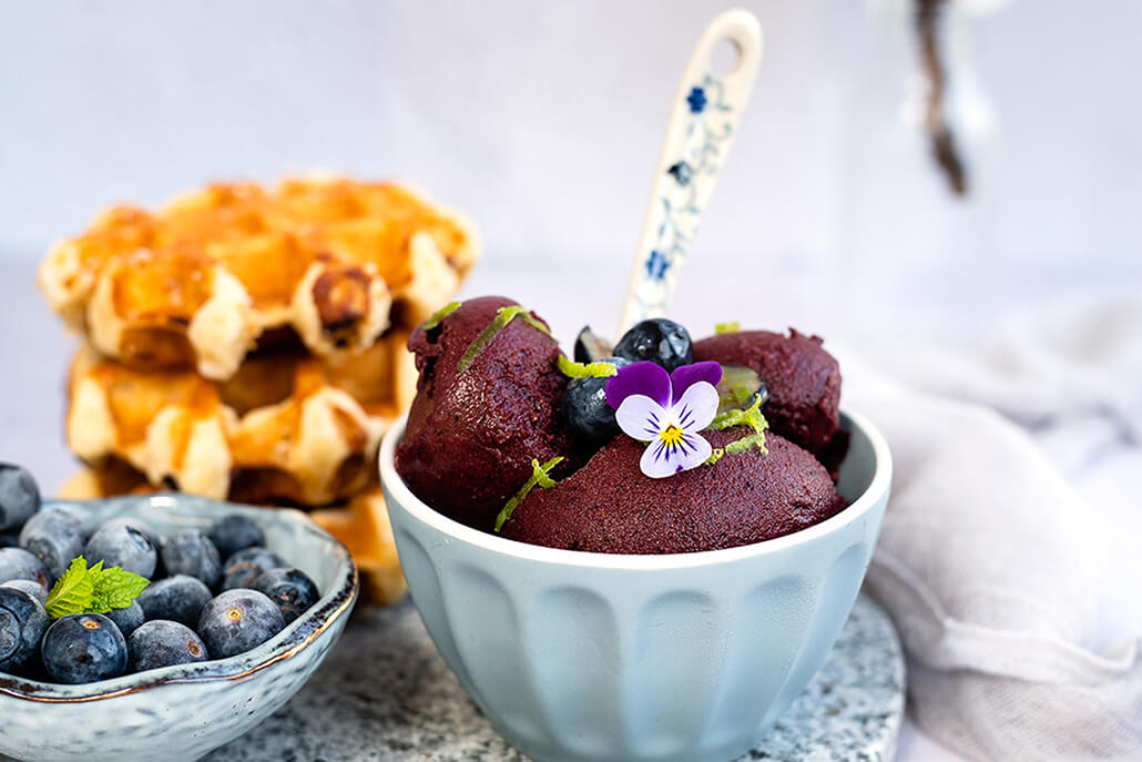 Blueberry & Vanilla Frozen Yogurt - Onken Onken